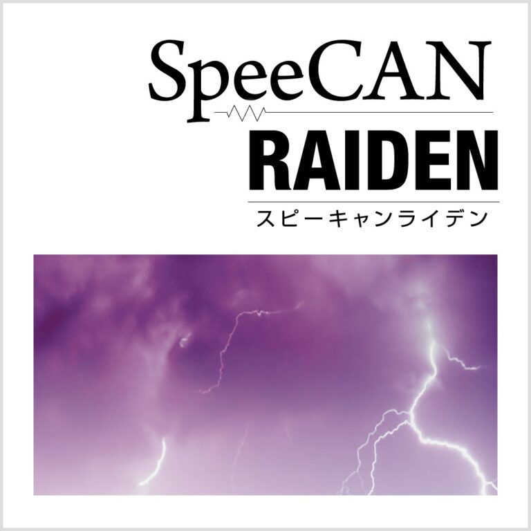 20241203raiden